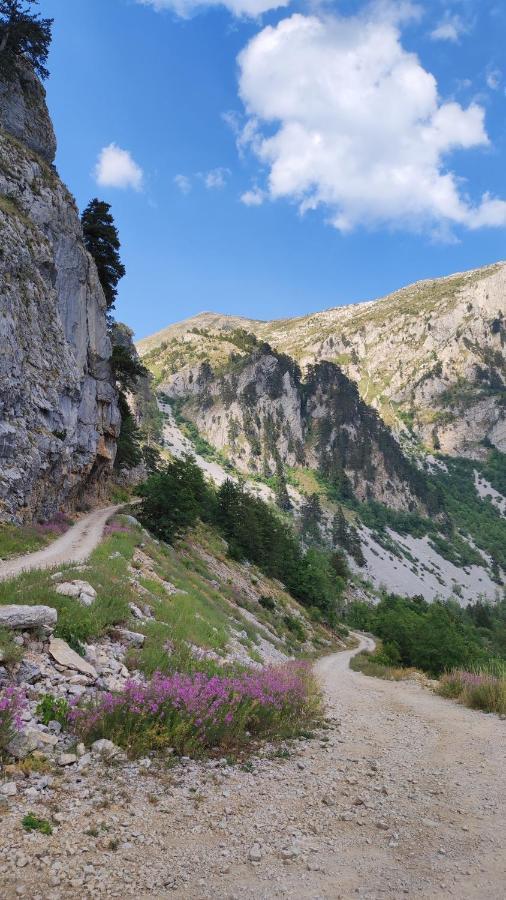 コラシンKatun Kulineアパートメント エクステリア 写真